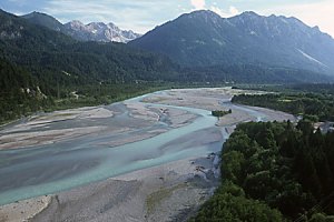 Wildflusslandschaft Tiroler Lech - Foto Naturpark
