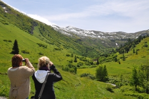 Nature Watch Wanderung in Obernberg
